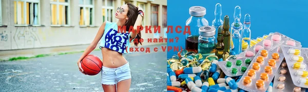 СК Липки