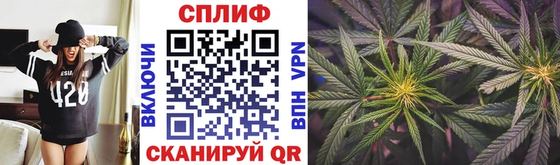МАРИХУАНА Bruce Banner  Купить закладки  Пыталово 